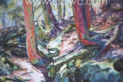 OW2001-Susan-Stallard-La-Brie-Opalescent-Forest