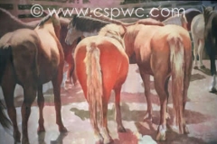 OW2002-Sheryl-Fremlin-Western-Union