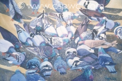 OW2003-Maggie-White-Heads-Or-Tails