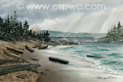 OW2008-Marilyn-Mills-After-the-Storm