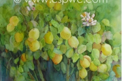 OW2009-Liz-Roberts-Lemon-Tree-Very