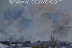 OW2014-Mervyn-Richardson-CSPWC-Storm-Coming