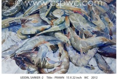 OW2014-S.-Helal-Uddin-CSPWC-Prawn