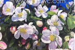 OW2015-Shelley-Ophelders-Finally-May