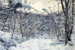 Bowen-Liu-Jilin-China-Path-In-The-Forest-20x20in-2019 Bowen-Liu-Jilin-China-Path-In-The-Forest-20x20in-2019