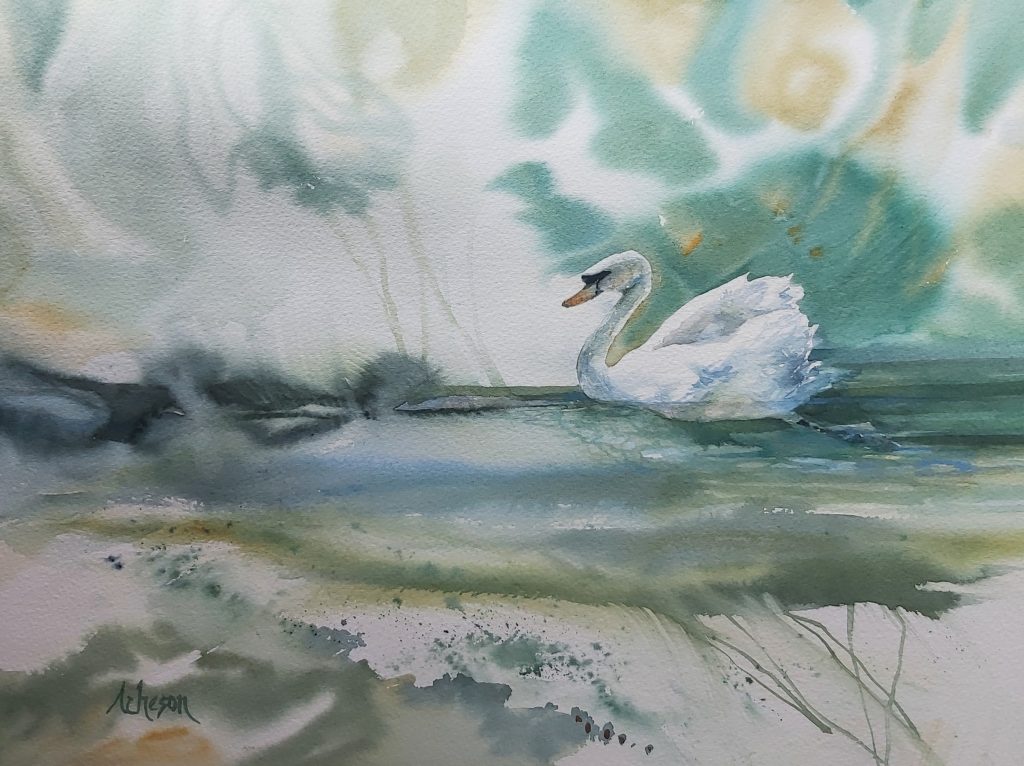 Watercolour painting of a swan on a semi abstract background representing water