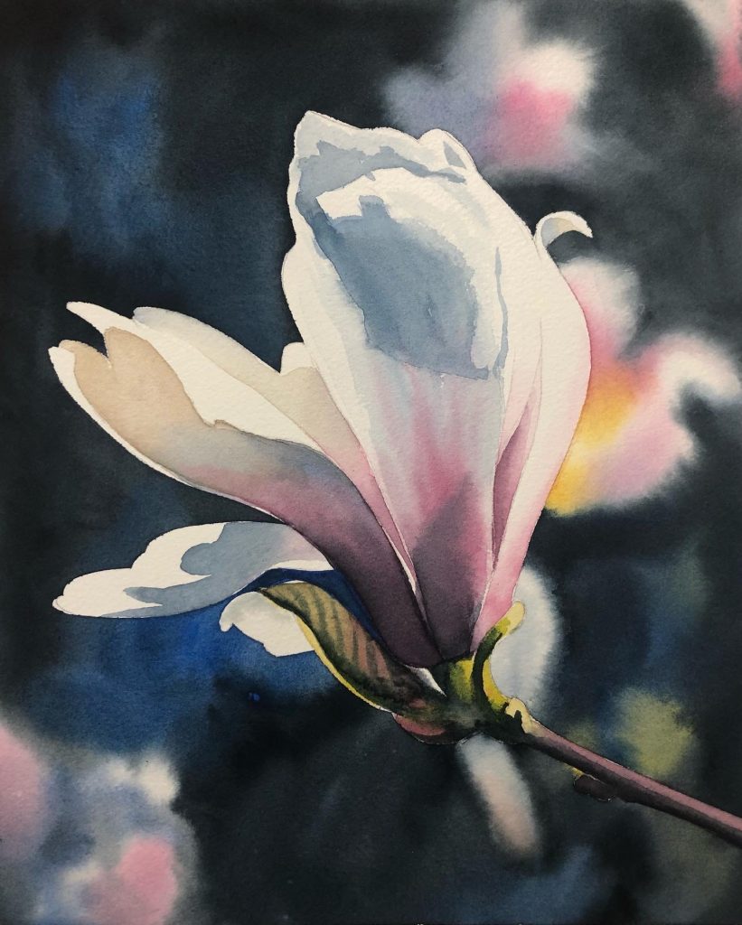 watercolour painting of a closeup view of a white magnolia, set in a garden setting, bathed in spring sunshine