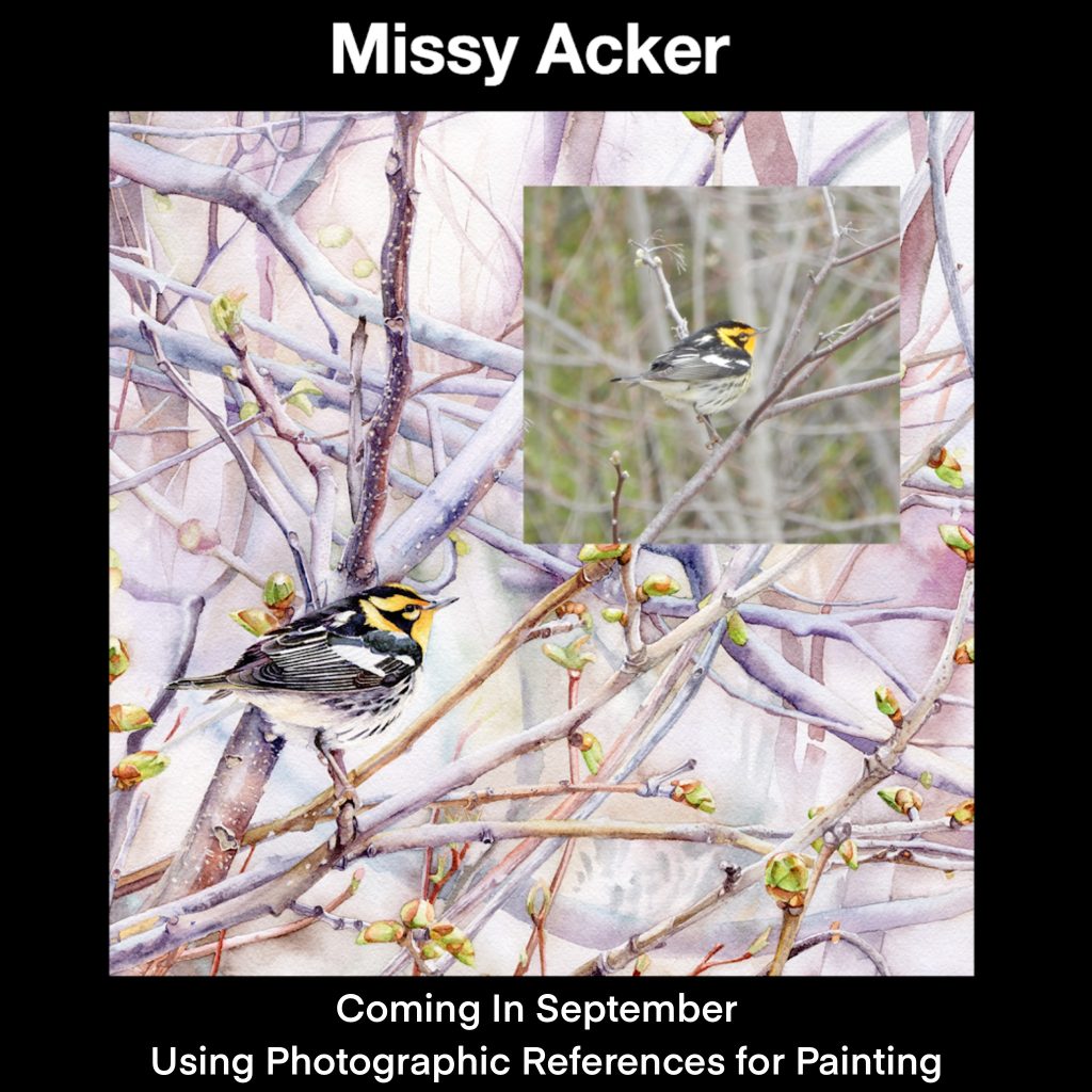 Missy Acker, CSPWC, will share a presentation on using photographic references for Painting, coming in September 2024