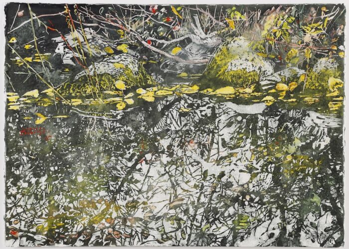 Diploma Collection - Zarowsky Micheal, 2007, Floating Yellow Tango Line 39x56cm