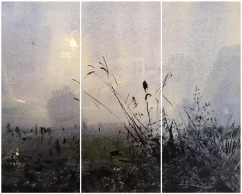 Morning Mist, Zhiqiang Zhao, Canada, Non-Member, 16x12